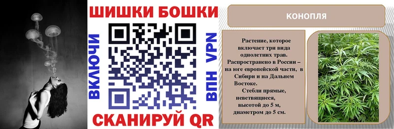 Бошки марихуана LSD WEED  блэк спрут как войти  Ливны  наркотики 